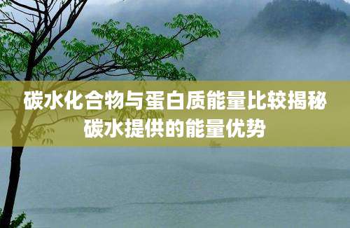 碳水化合物与蛋白质能量比较揭秘碳水提供的能量优势
