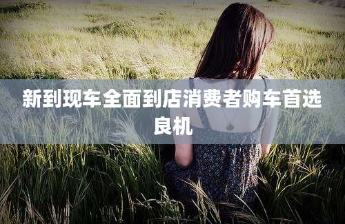 新到现车全面到店消费者购车首选良机