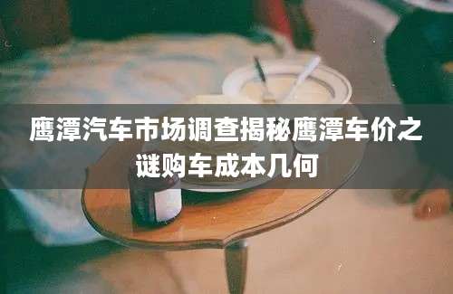 鹰潭汽车市场调查揭秘鹰潭车价之谜购车成本几何