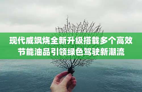 现代威飒烧全新升级搭载多个高效节能油品引领绿色驾驶新潮流