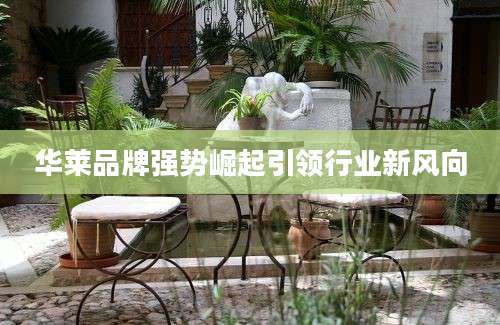华莱品牌强势崛起引领行业新风向