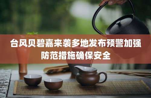 台风贝碧嘉来袭多地发布预警加强防范措施确保安全