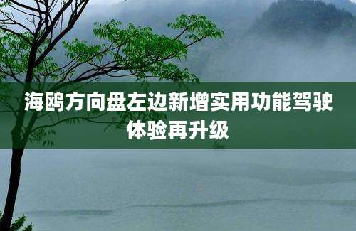 海鸥方向盘左边新增实用功能驾驶体验再升级