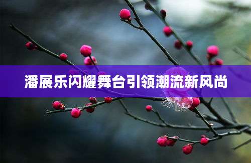 潘展乐闪耀舞台引领潮流新风尚