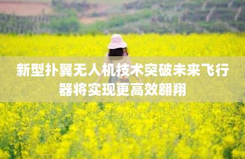 新型扑翼无人机技术突破未来飞行器将实现更高效翱翔
