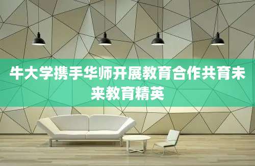 牛大学携手华师开展教育合作共育未来教育精英