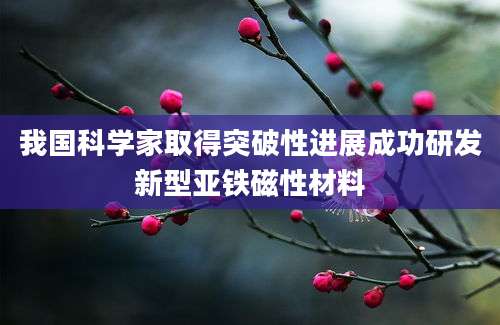我国科学家取得突破性进展成功研发新型亚铁磁性材料