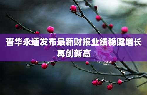 普华永道发布最新财报业绩稳健增长再创新高
