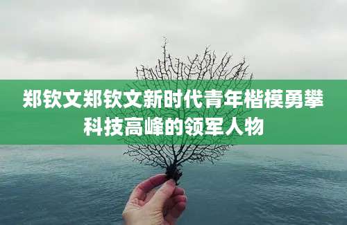 郑钦文郑钦文新时代青年楷模勇攀科技高峰的领军人物