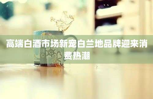 高端白酒市场新宠白兰地品牌迎来消费热潮