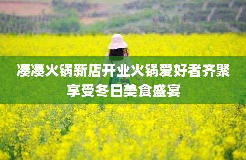 凑凑火锅新店开业火锅爱好者齐聚享受冬日美食盛宴