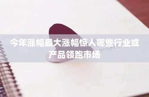 今年涨幅最大涨幅惊人哪些行业或产品领跑市场