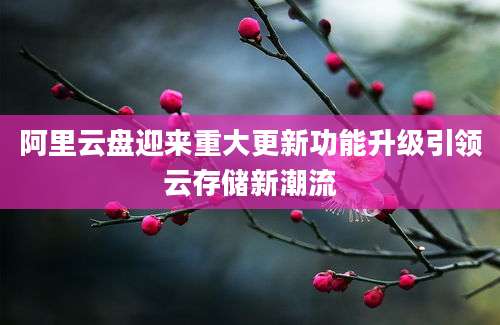 阿里云盘迎来重大更新功能升级引领云存储新潮流