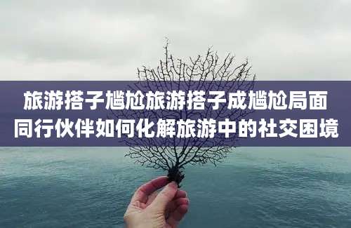 旅游搭子尴尬旅游搭子成尴尬局面同行伙伴如何化解旅游中的社交困境