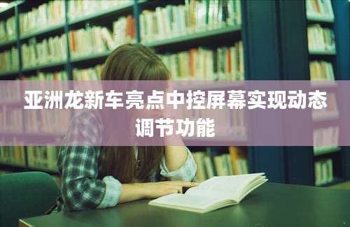 亚洲龙新车亮点中控屏幕实现动态调节功能