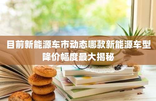 目前新能源车市动态哪款新能源车型降价幅度最大揭秘