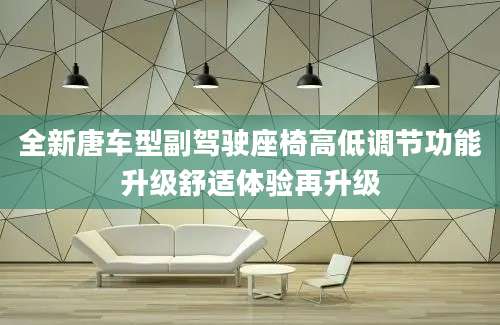 全新唐车型副驾驶座椅高低调节功能升级舒适体验再升级