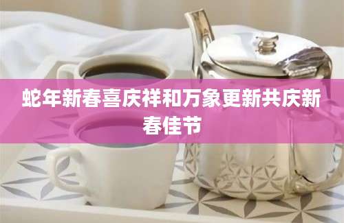 蛇年新春喜庆祥和万象更新共庆新春佳节