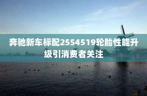 奔驰新车标配2554519轮胎性能升级引消费者关注