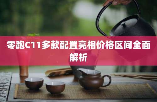 零跑C11多款配置亮相价格区间全面解析