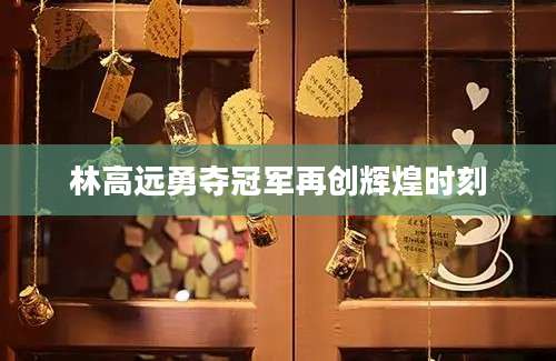 林高远勇夺冠军再创辉煌时刻