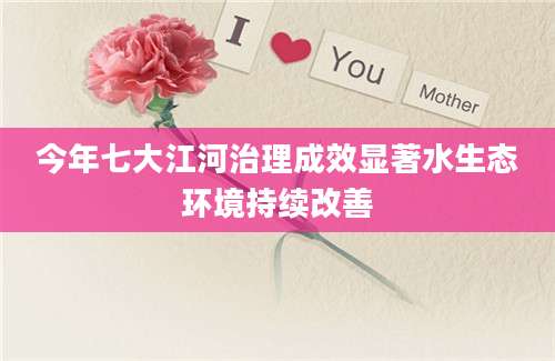 今年七大江河治理成效显著水生态环境持续改善