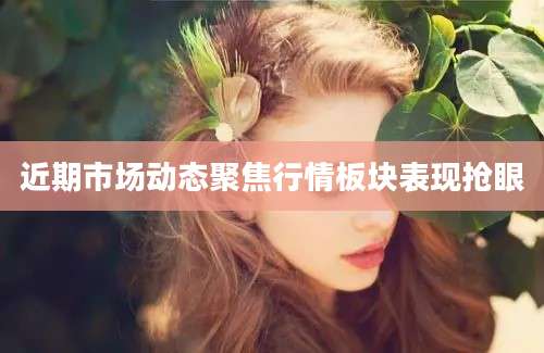 近期市场动态聚焦行情板块表现抢眼