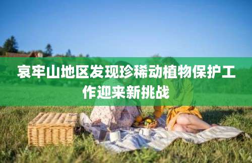 哀牢山地区发现珍稀动植物保护工作迎来新挑战