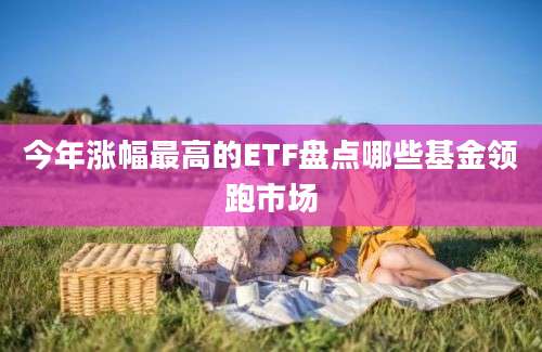 今年涨幅最高的ETF盘点哪些基金领跑市场