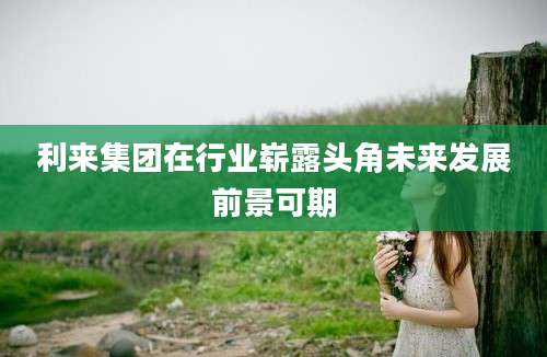 利来集团在行业崭露头角未来发展前景可期