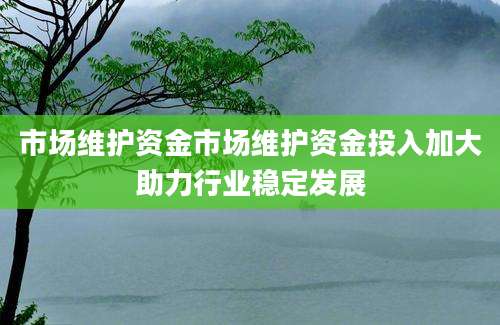 市场维护资金市场维护资金投入加大助力行业稳定发展