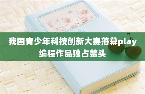 我国青少年科技创新大赛落幕play编程作品独占鳌头