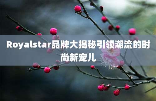 Royalstar品牌大揭秘引领潮流的时尚新宠儿