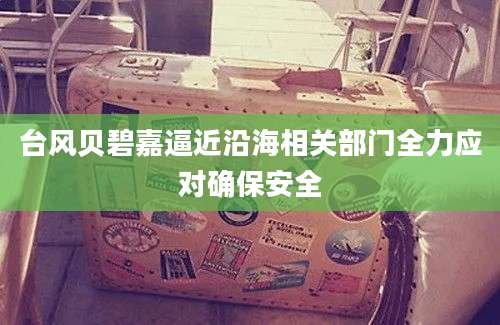 台风贝碧嘉逼近沿海相关部门全力应对确保安全