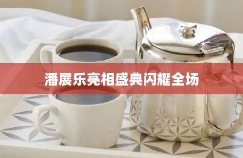 潘展乐亮相盛典闪耀全场