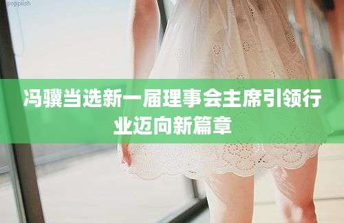 冯骥当选新一届理事会主席引领行业迈向新篇章