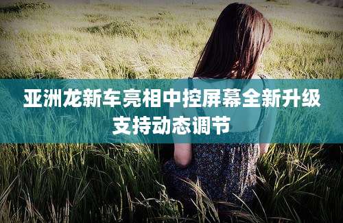 亚洲龙新车亮相中控屏幕全新升级支持动态调节