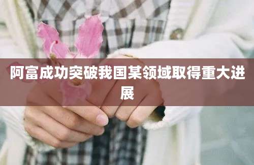 阿富成功突破我国某领域取得重大进展