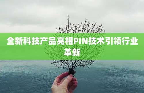 全新科技产品亮相PIN技术引领行业革新