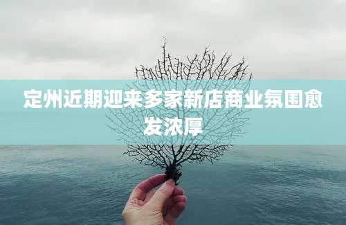 定州近期迎来多家新店商业氛围愈发浓厚
