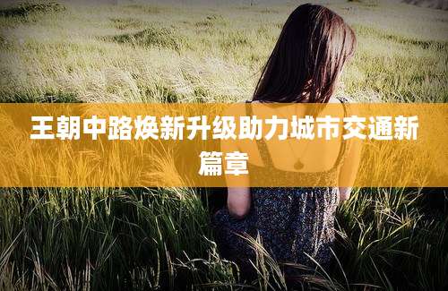 王朝中路焕新升级助力城市交通新篇章