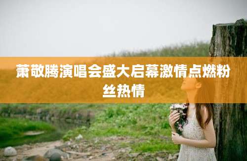 萧敬腾演唱会盛大启幕激情点燃粉丝热情
