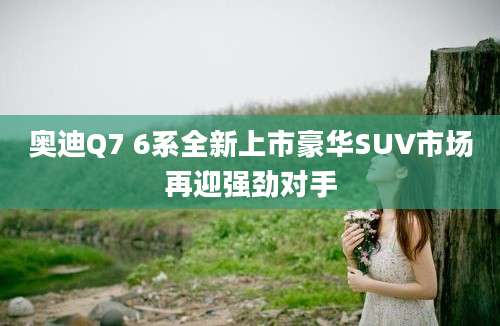 奥迪Q7 6系全新上市豪华SUV市场再迎强劲对手