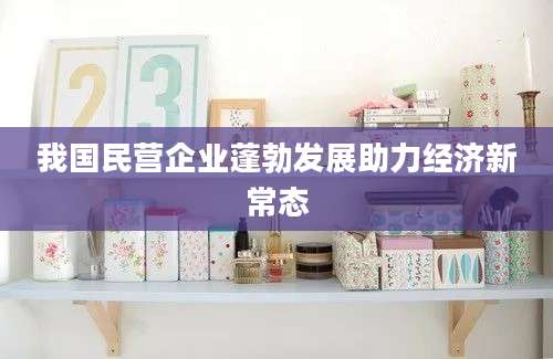 我国民营企业蓬勃发展助力经济新常态