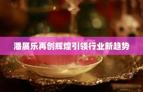 潘展乐再创辉煌引领行业新趋势