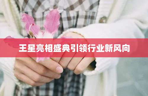 王星亮相盛典引领行业新风向