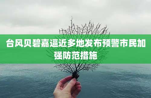 台风贝碧嘉逼近多地发布预警市民加强防范措施
