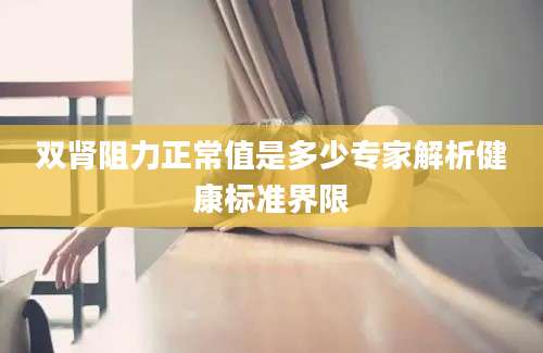 双肾阻力正常值是多少专家解析健康标准界限