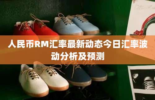 人民币RM汇率最新动态今日汇率波动分析及预测