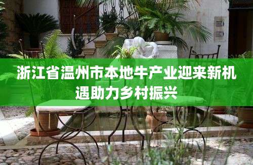 浙江省温州市本地牛产业迎来新机遇助力乡村振兴